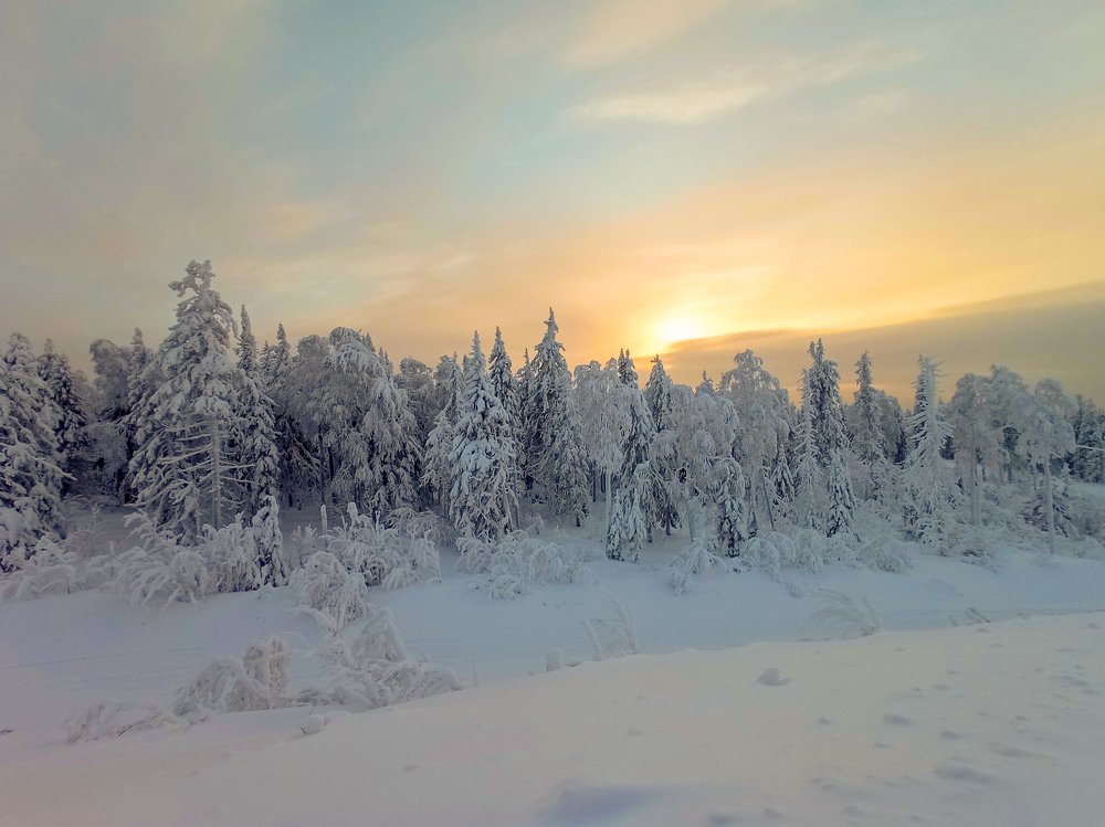 Photograph by Максим Фролов