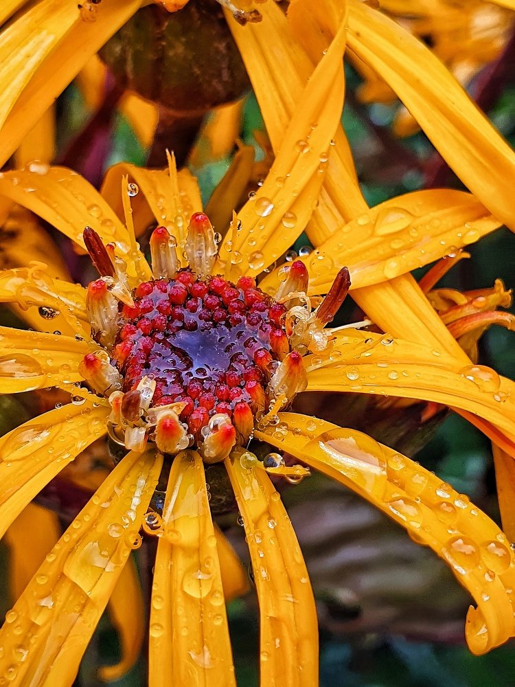 Photograph by Ирина Змитрович