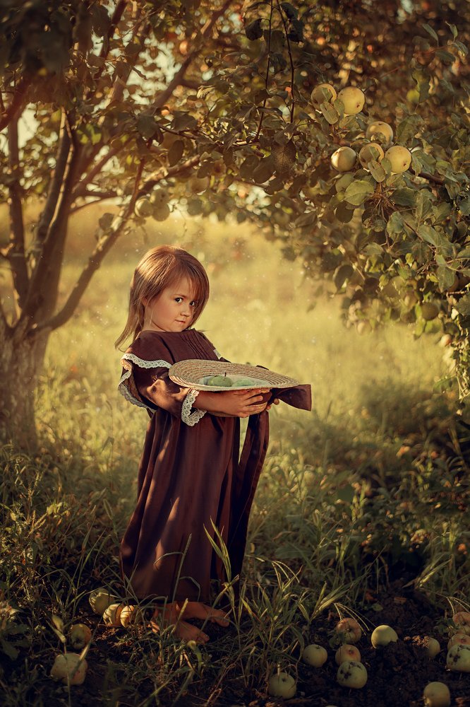 Яблоневый сад