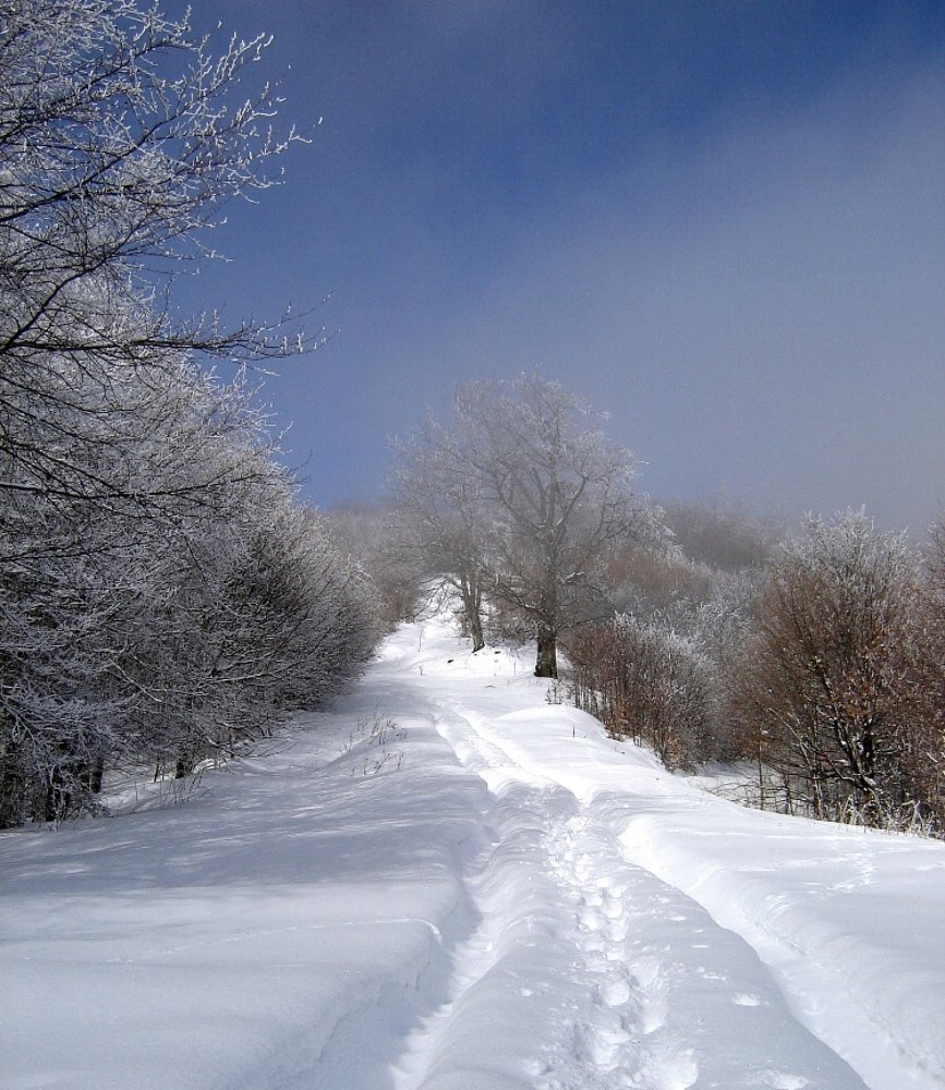 Photo #5546870