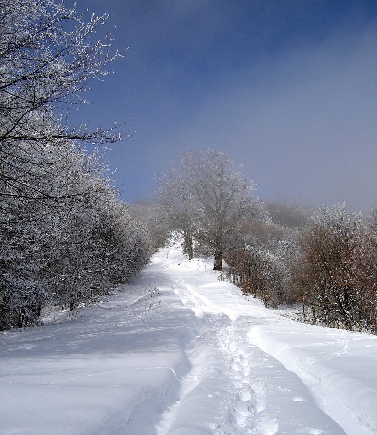 Photo #5546870