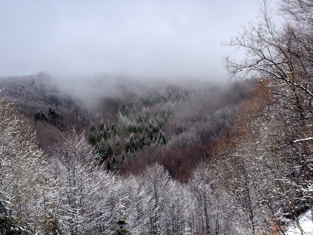 Photo #5546871