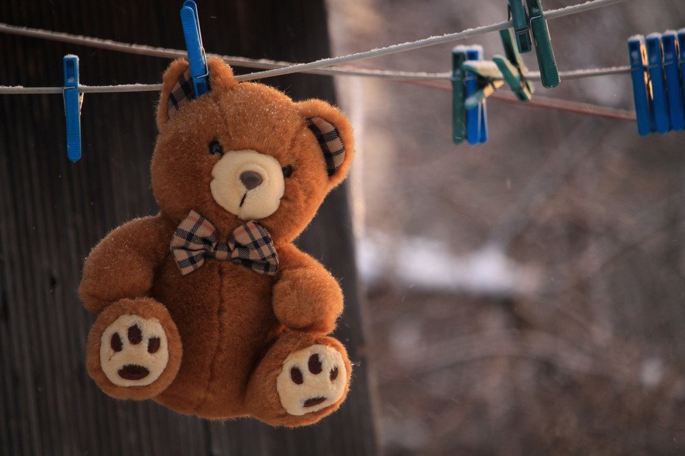 Фотография автора Елена Шатило