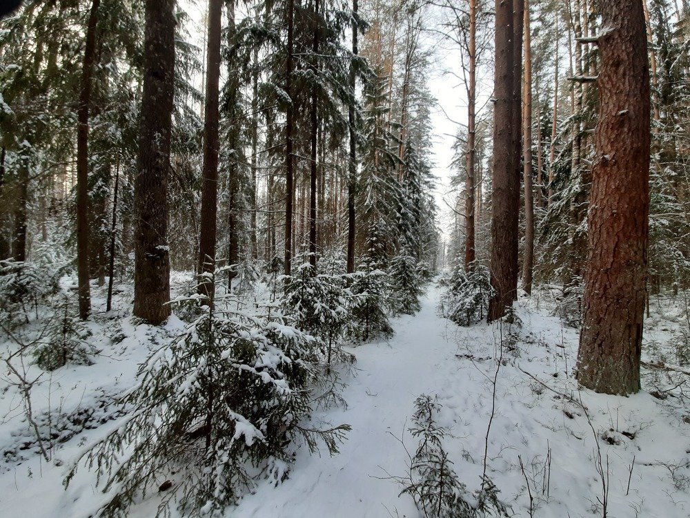 Photograph by Елена Грошева