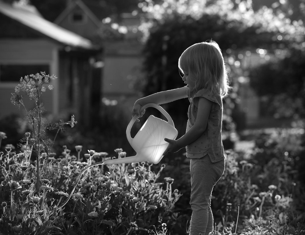 Photograph by Вячеслав Лукашов