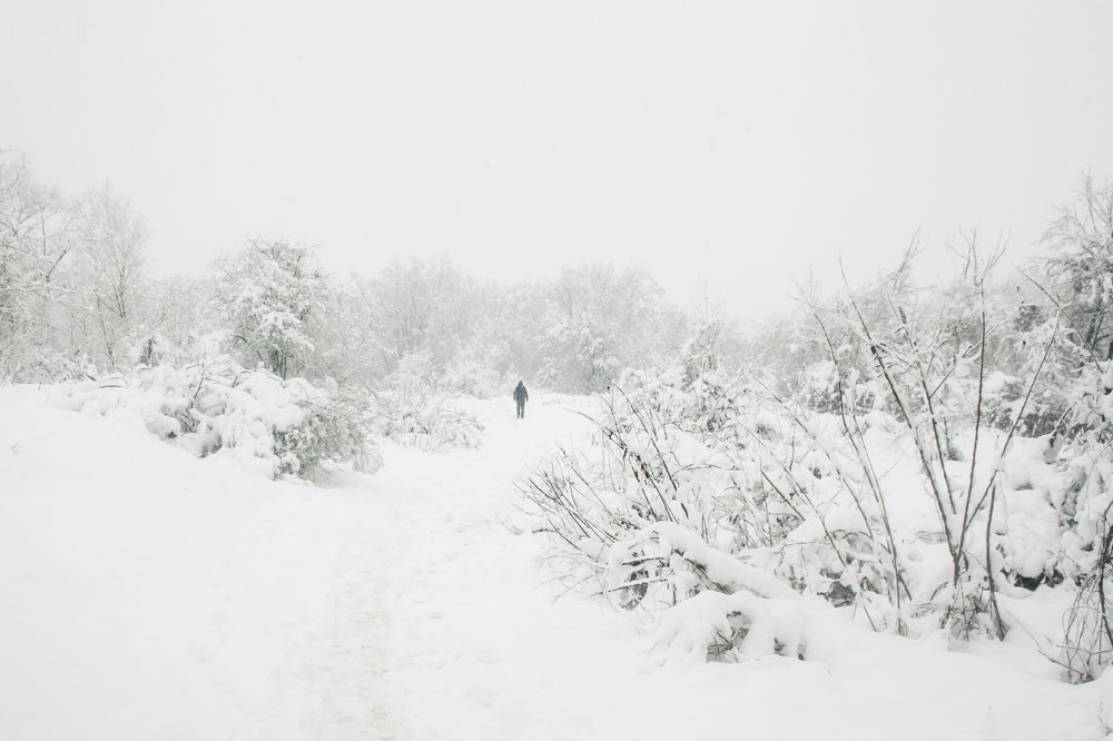 Photograph by Анна