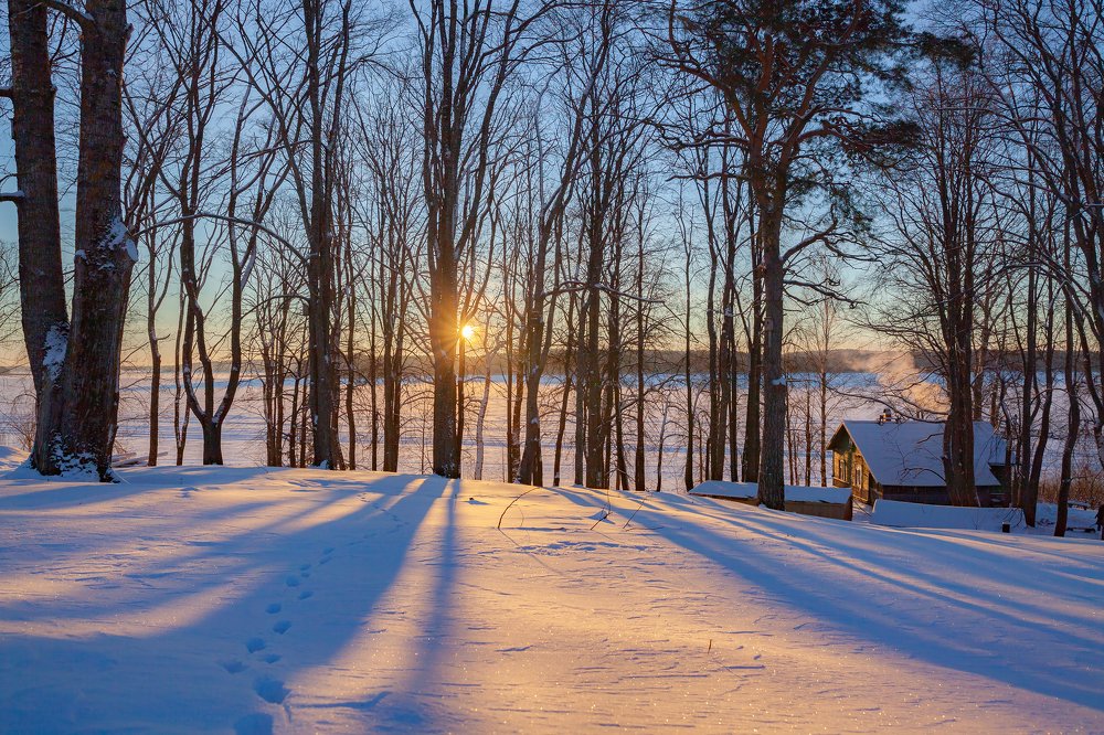 Photograph by Nika Litus