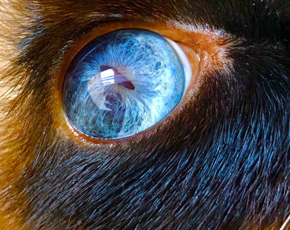 Photograph by Nadzeya Sukhenko