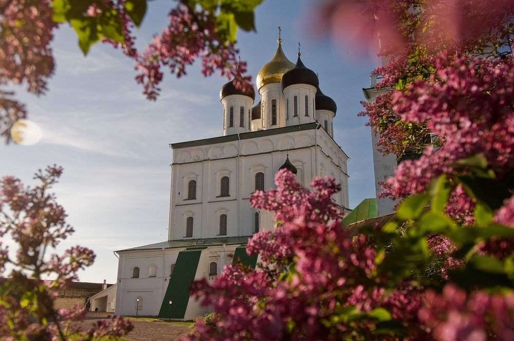 Photograph by Юрий Яковлев