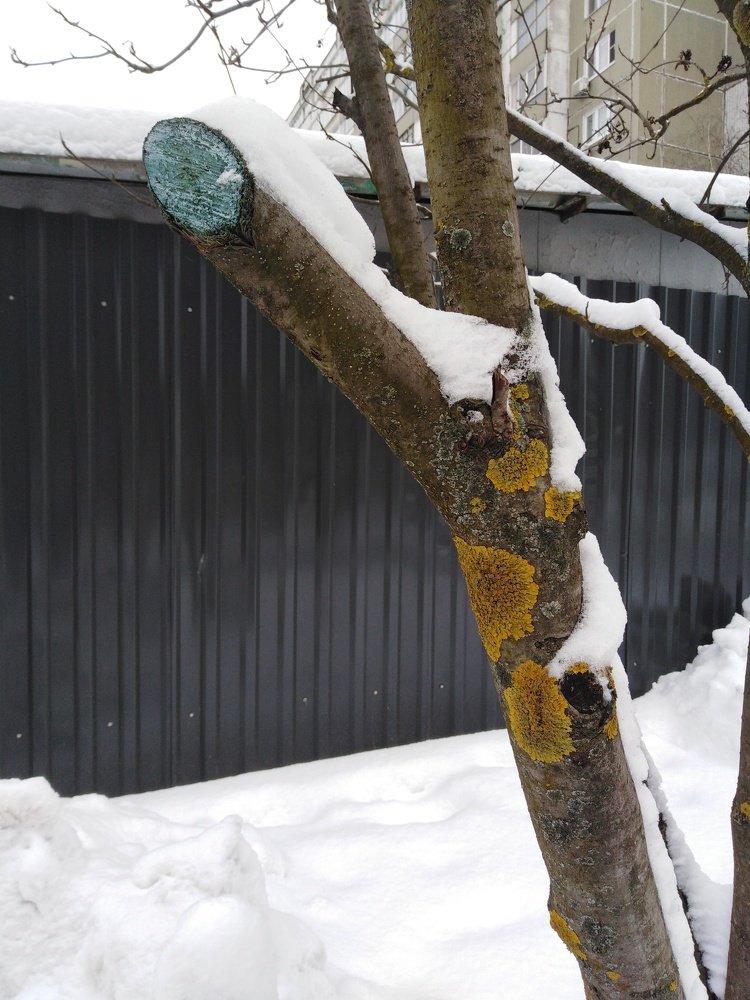 Photograph by Татьяна Ситникова