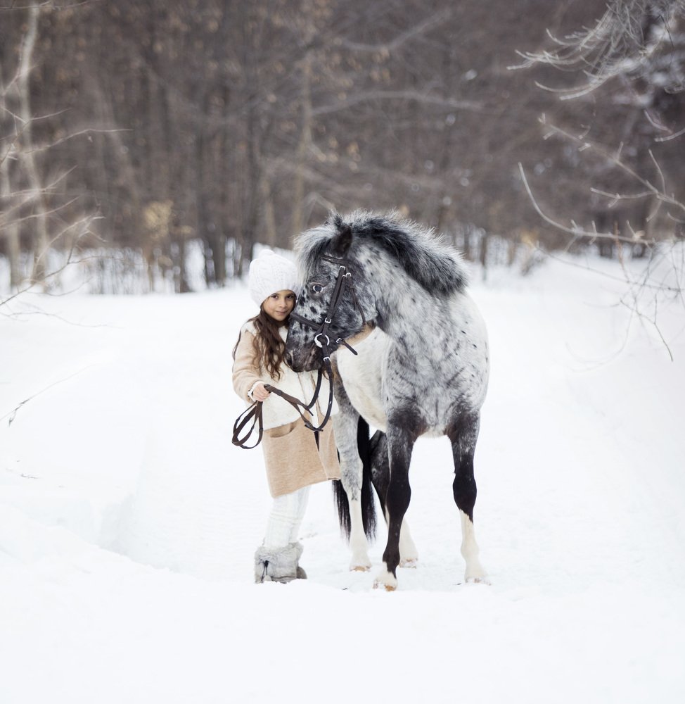 Прогулка с пони Оствиндом