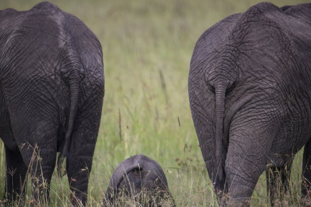 Photograph by Максимов Андрей