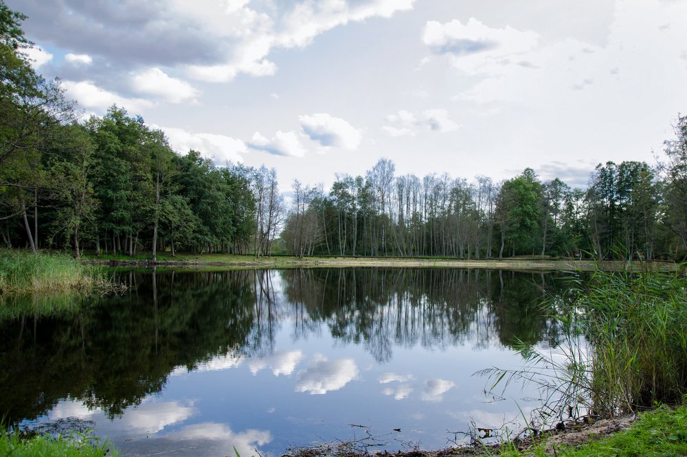 Photograph by Inesa Juk