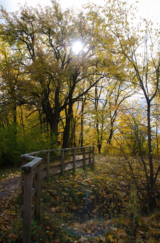 Photograph by Inesa Juk