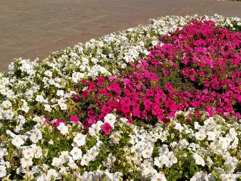 Photograph by Елена Чурынина