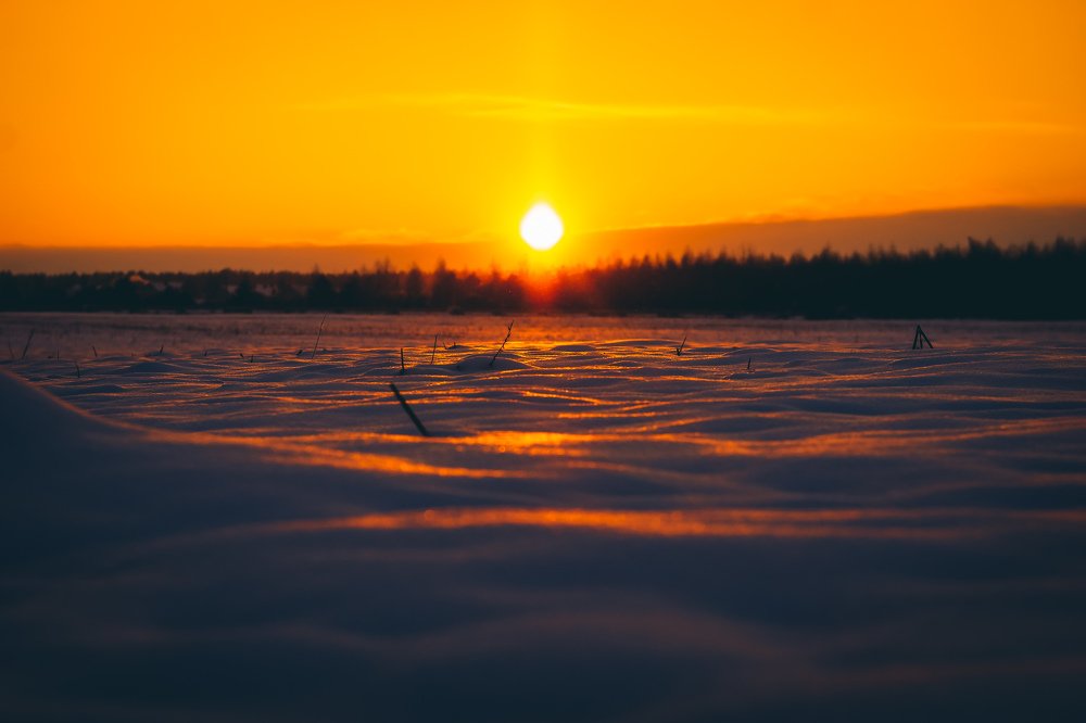 Photograph by Александр Казак