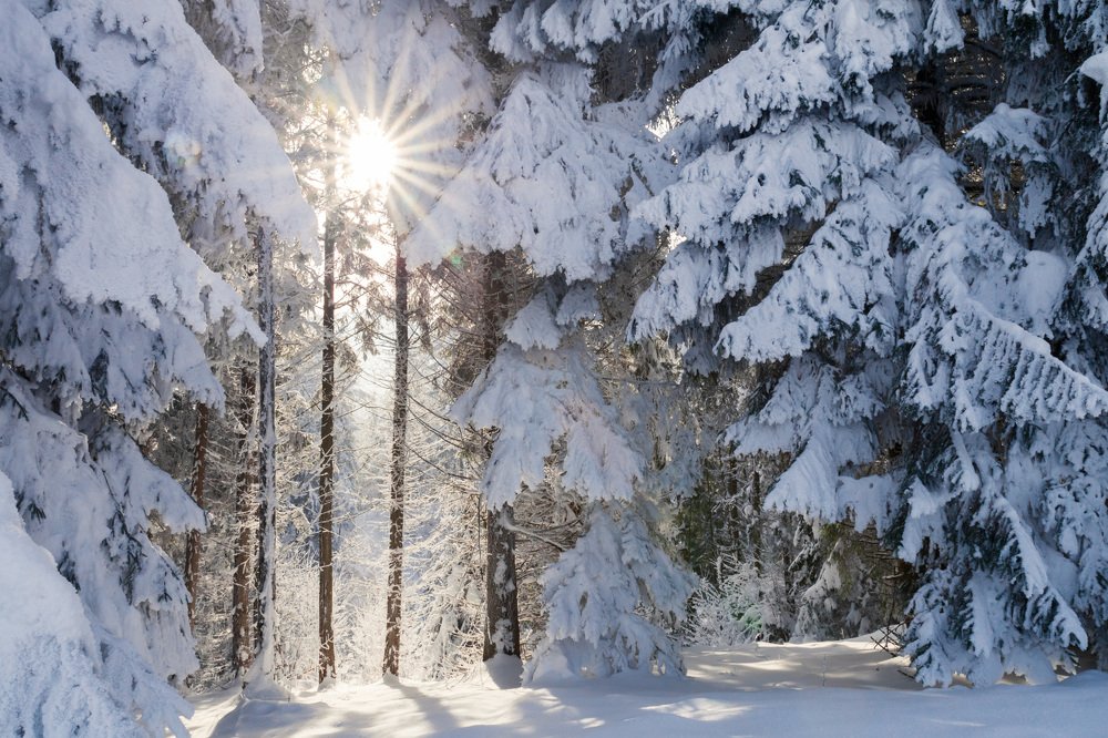 Photograph by Simona Grigorescu