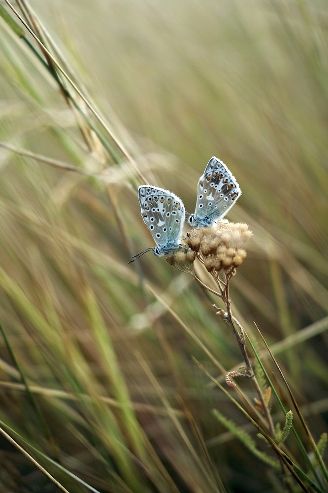 Фотография автора Александр Мартынов