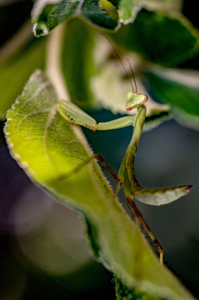 Photograph by Валерий Лейко