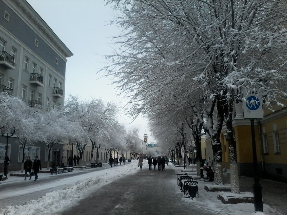 Photograph by карякина мария