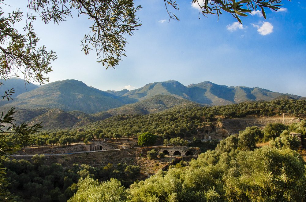 Photograph by Muhammed Diler