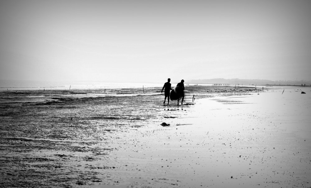 #sea_beach_life