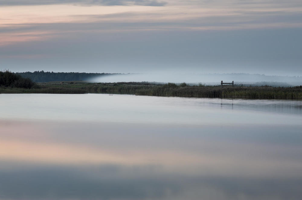 Photograph by Полина Хрол