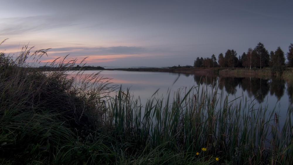 Photograph by Полина Хрол