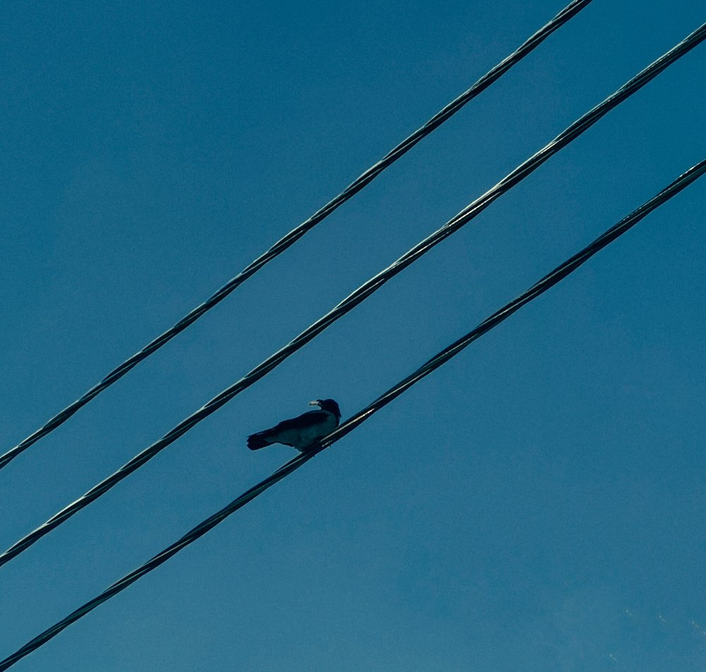 Photograph by Светлана Морева