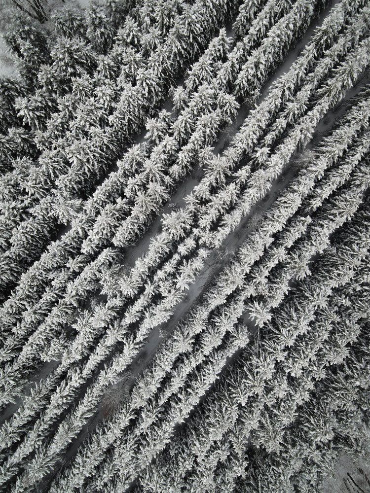 Photograph by Анастасия Юсова