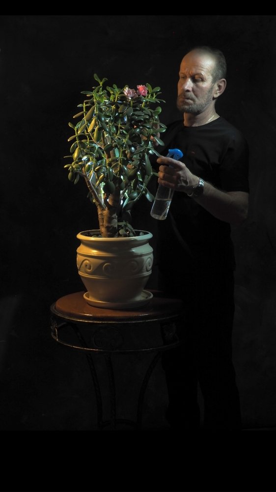 Photograph by Александр Емельянов