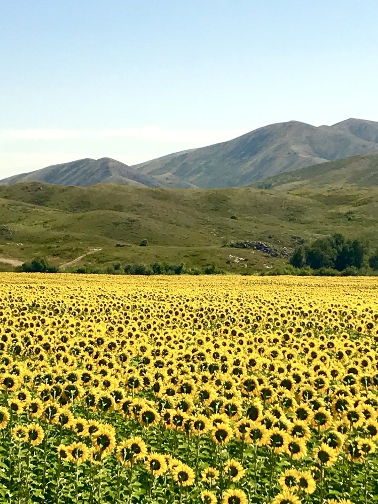 Photograph by Anar K. Amirova