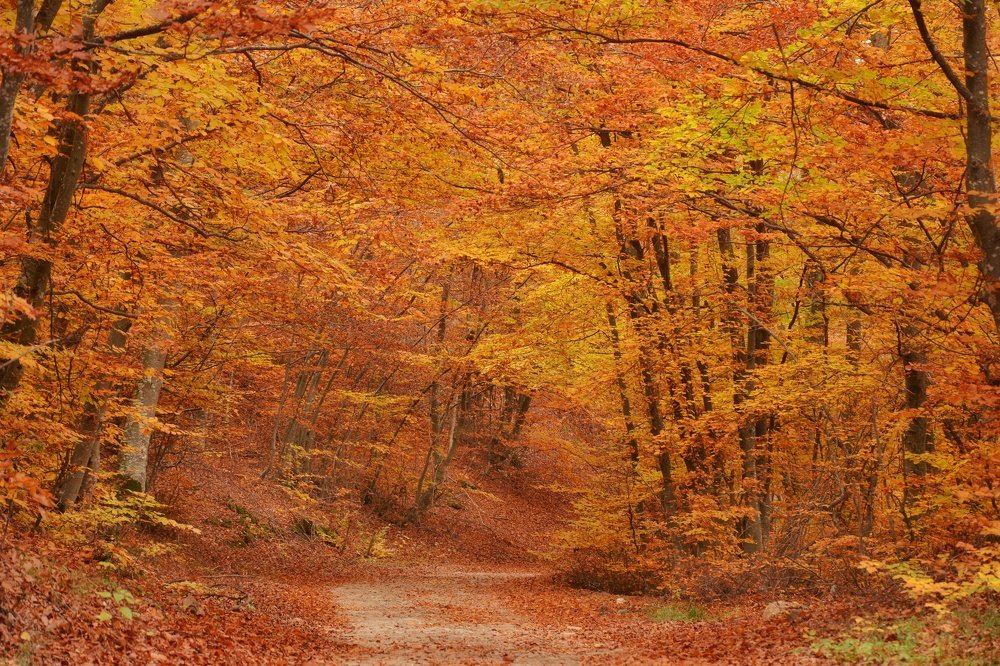 Photograph by Edin Masovic