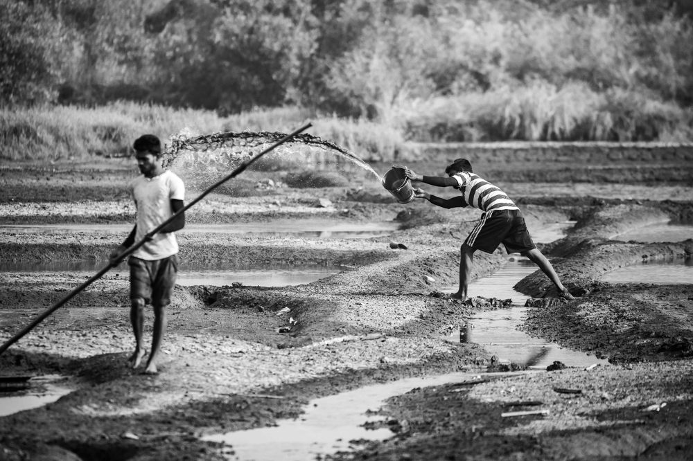 Фотография автора Gopal Sutar
