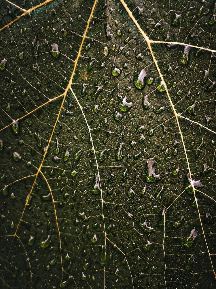 Photograph by Людмила