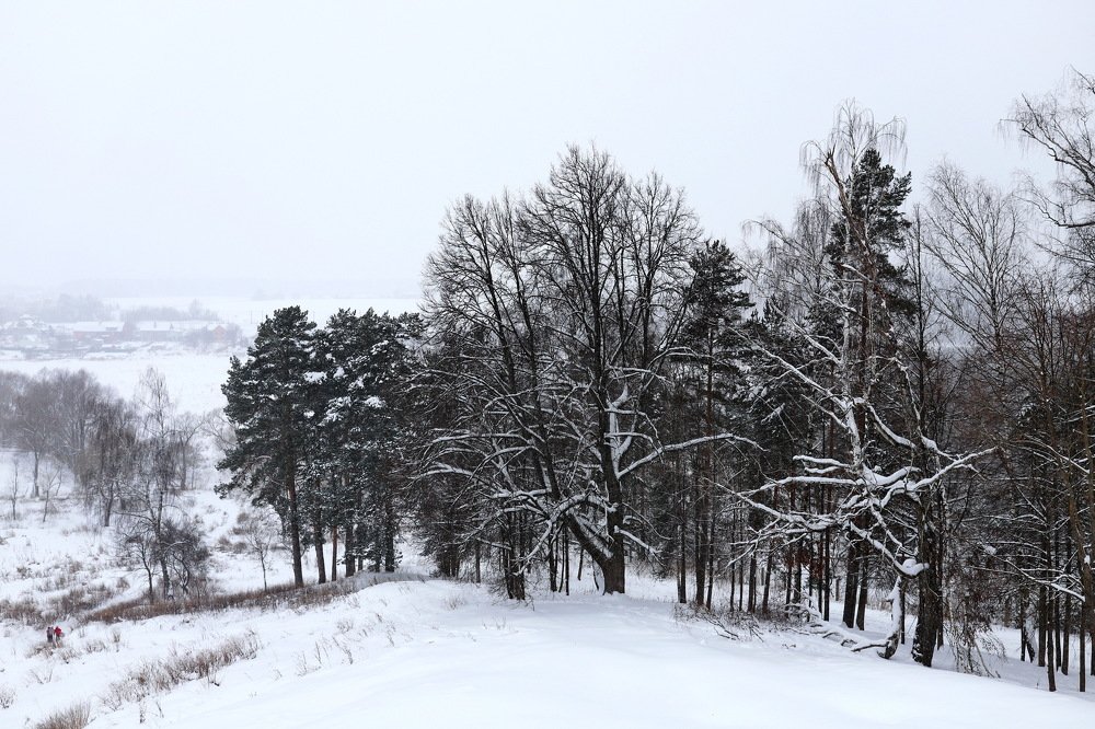 Photograph by Константин Лагоденко