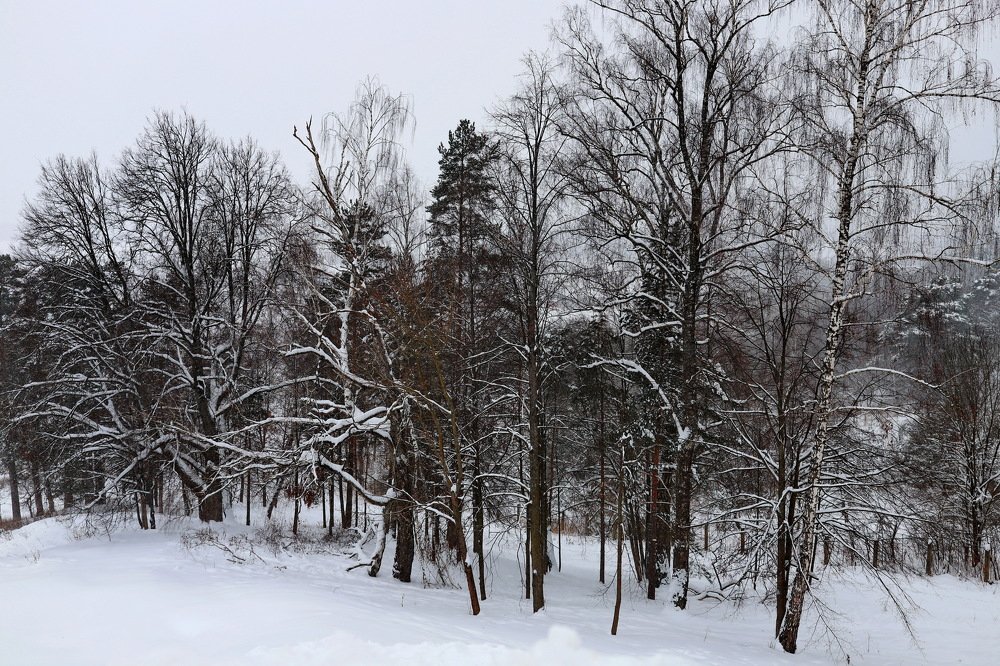 Photograph by Константин Лагоденко