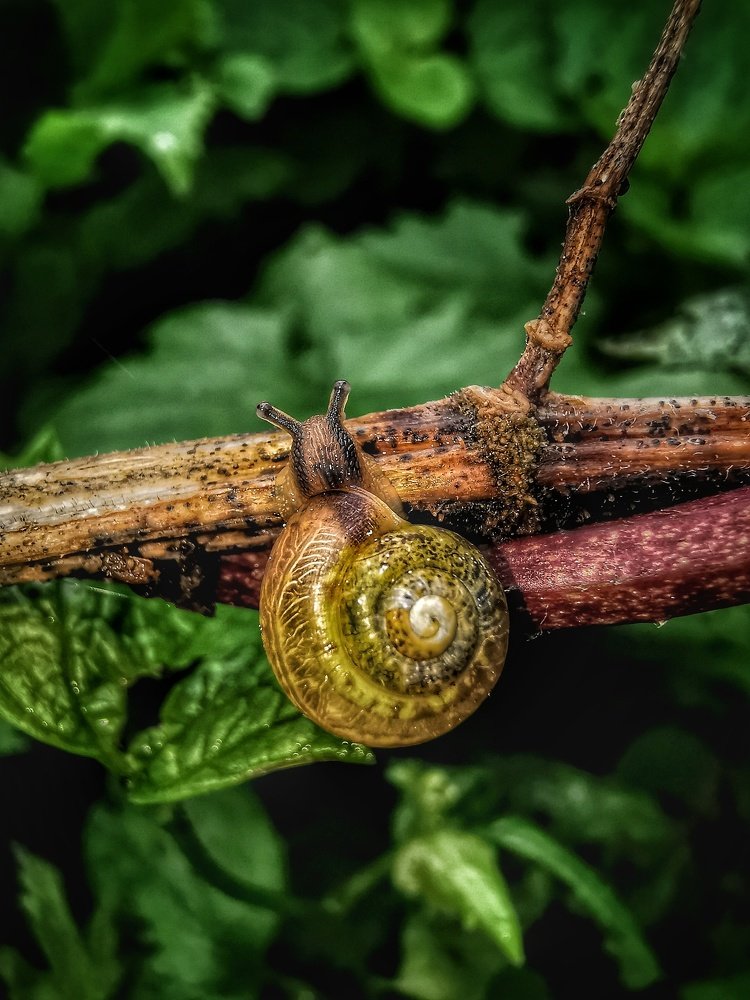 Photograph by Евгения Лушенкова
