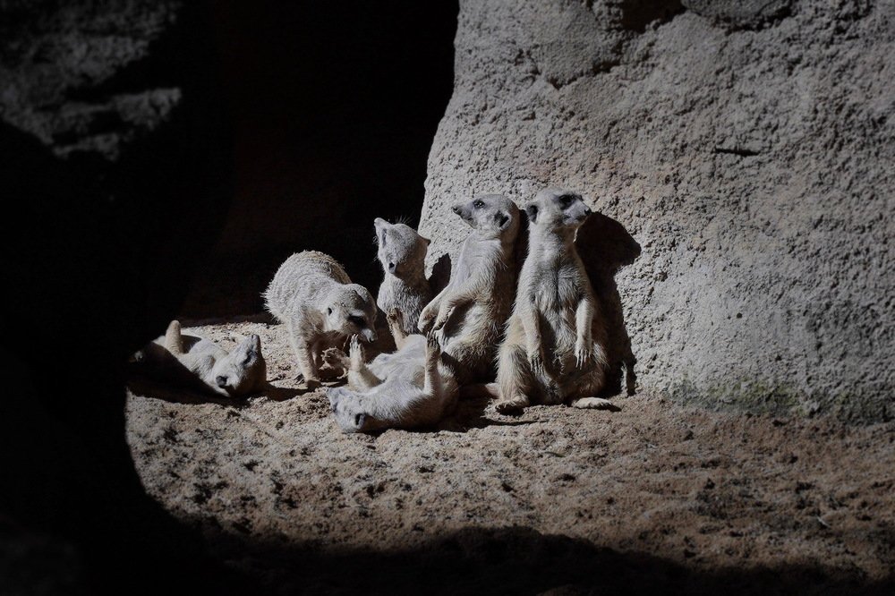 Тревожная ночь.