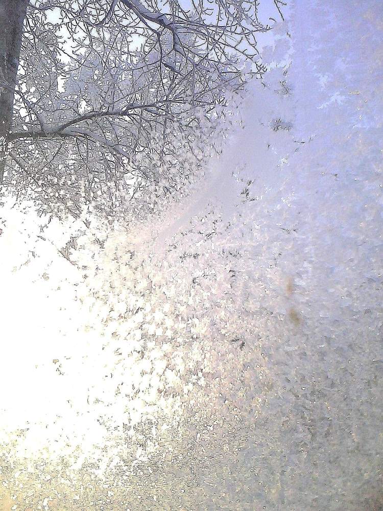 Photograph by Оксана Фурс