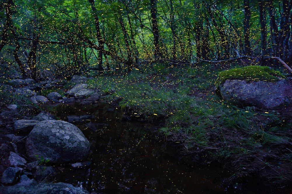 Photograph by Konstantin Zaykov