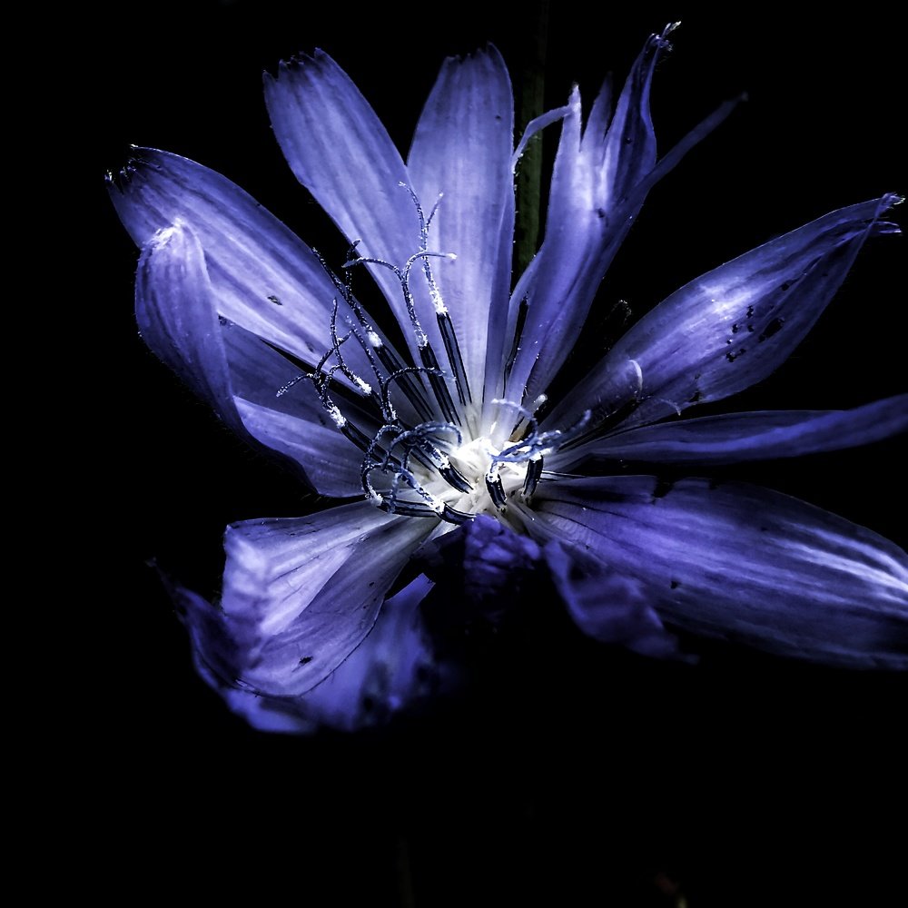Photograph by Евгения Лушенкова