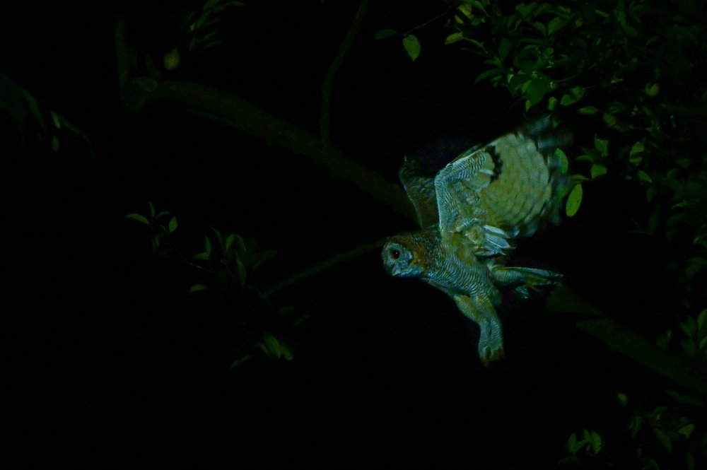 Photograph by Nabarun Majumdar