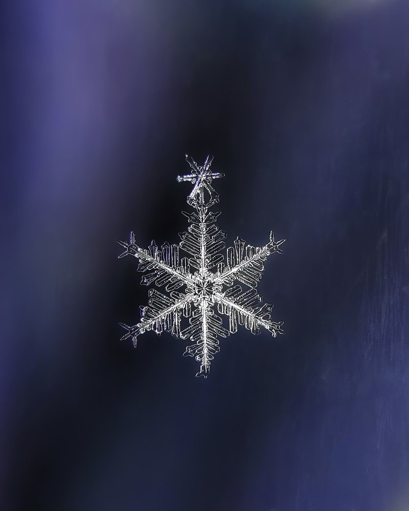 Фотография автора Наталья