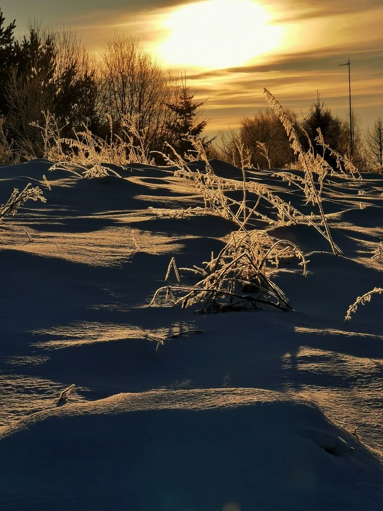 Photograph by Евгения Лушенкова