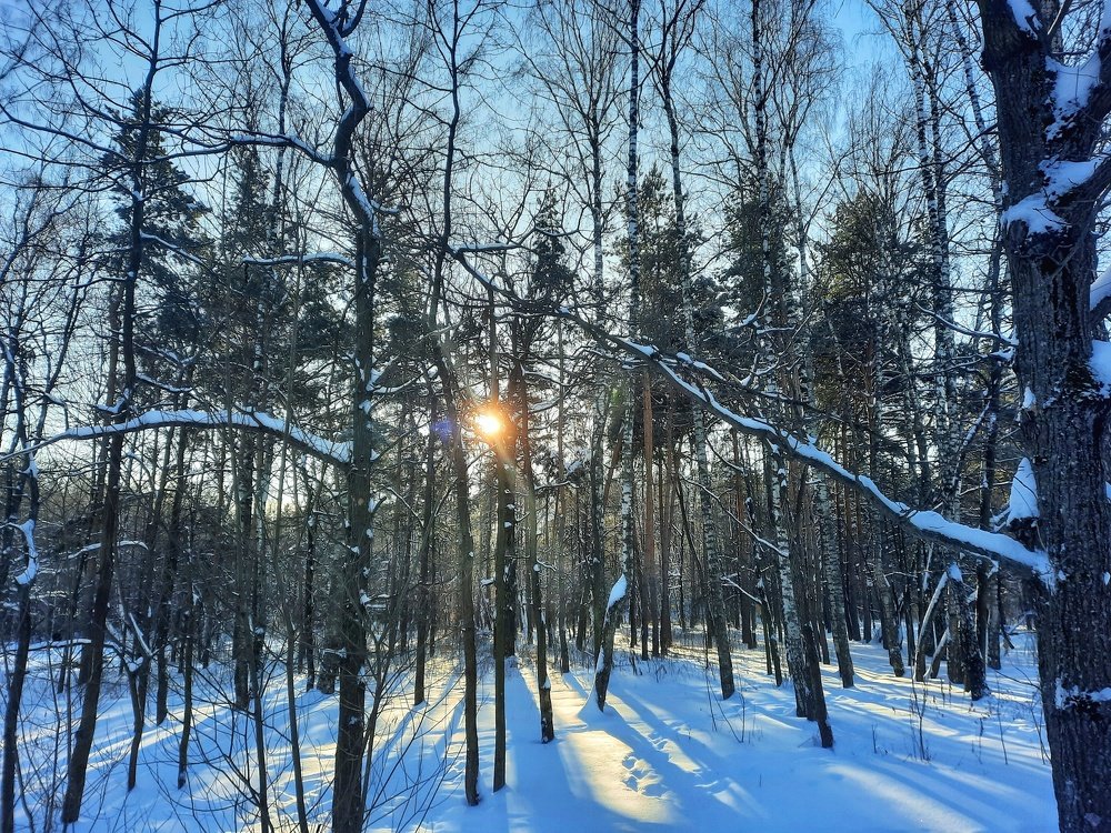Photograph by Павел Борщев