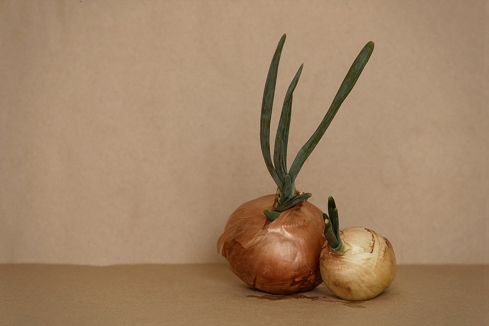 Фотография автора Елена Ельшина