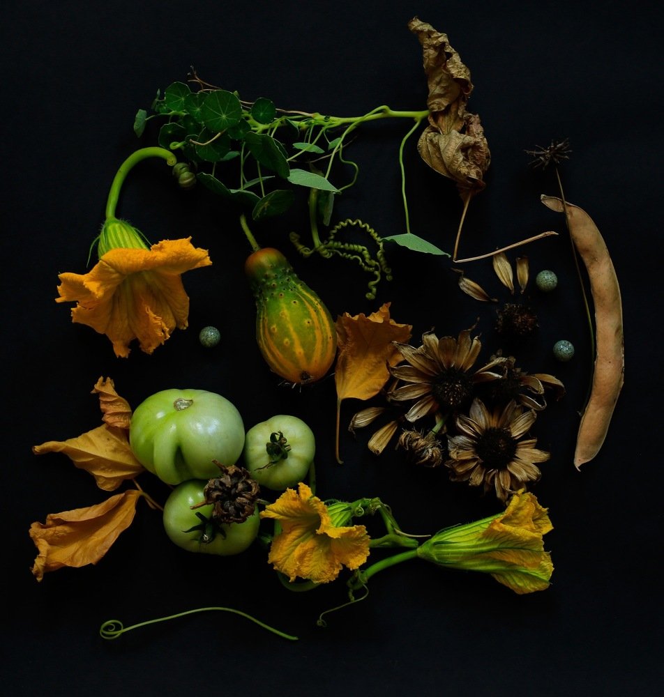 Натюрморт с зелёными помидорами. Сентябрь