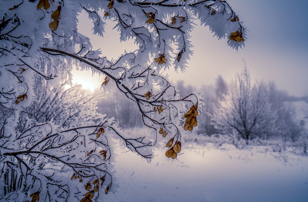 Photograph by Игорь Кляхин