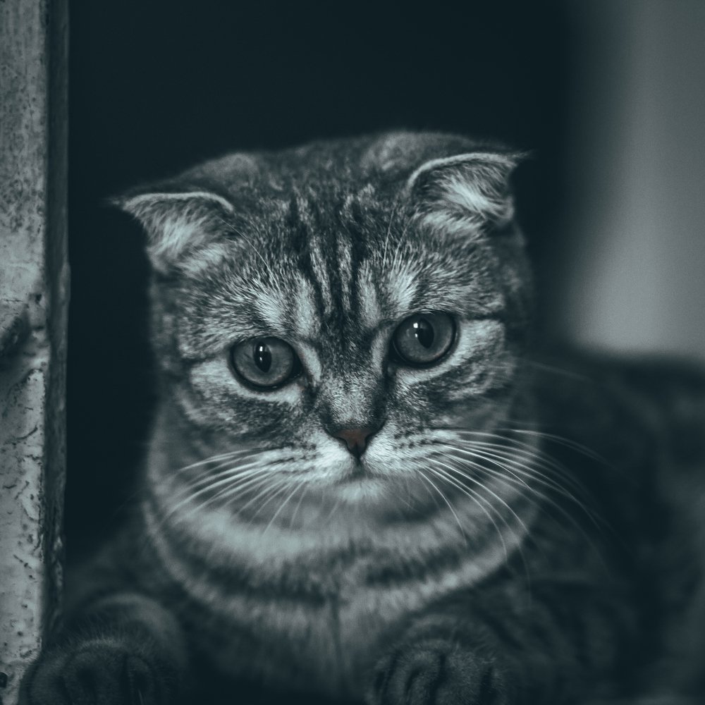 Photograph by Павел Дженбаз